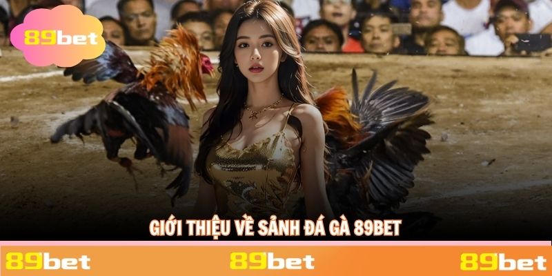 Giới thiệu những nét chính về sảnh đá gà 89BET