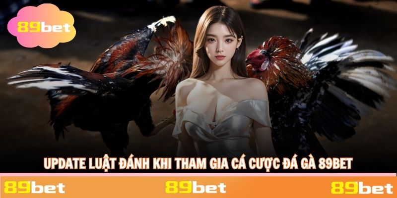 Update luật đánh khi tham gia cá cược đá gà 89BET