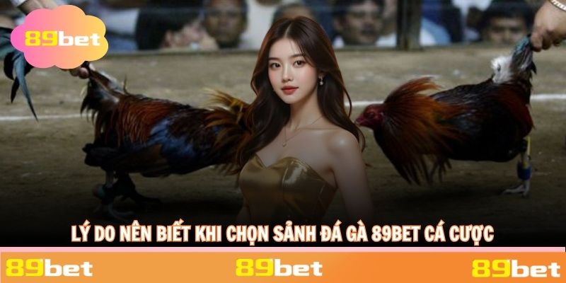 Ưu điểm vượt trội khi chọn sảnh tham gia kèo độ